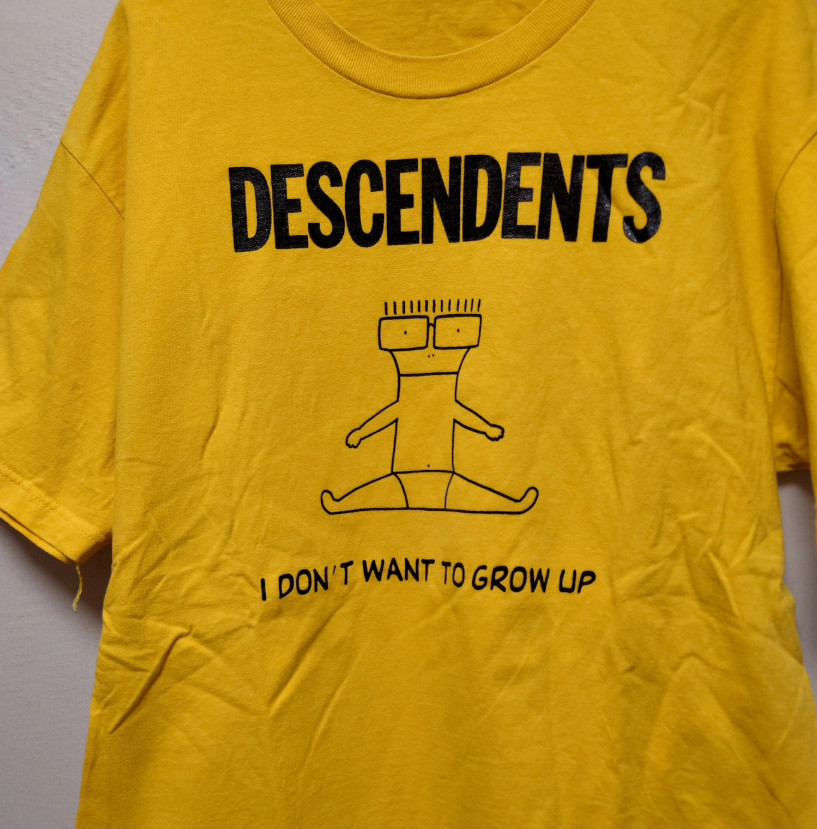 New Hot DESCENDENTS Band Music On Tour Tee Shirt S to 5XL