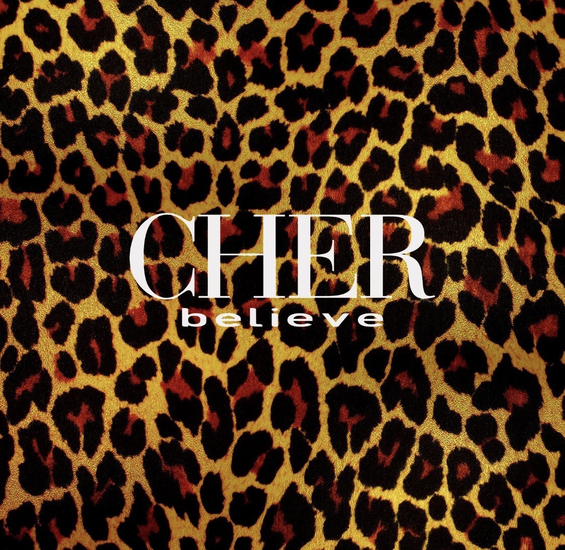 Cher – Believe - 3 x LP Vinyl Records 12\