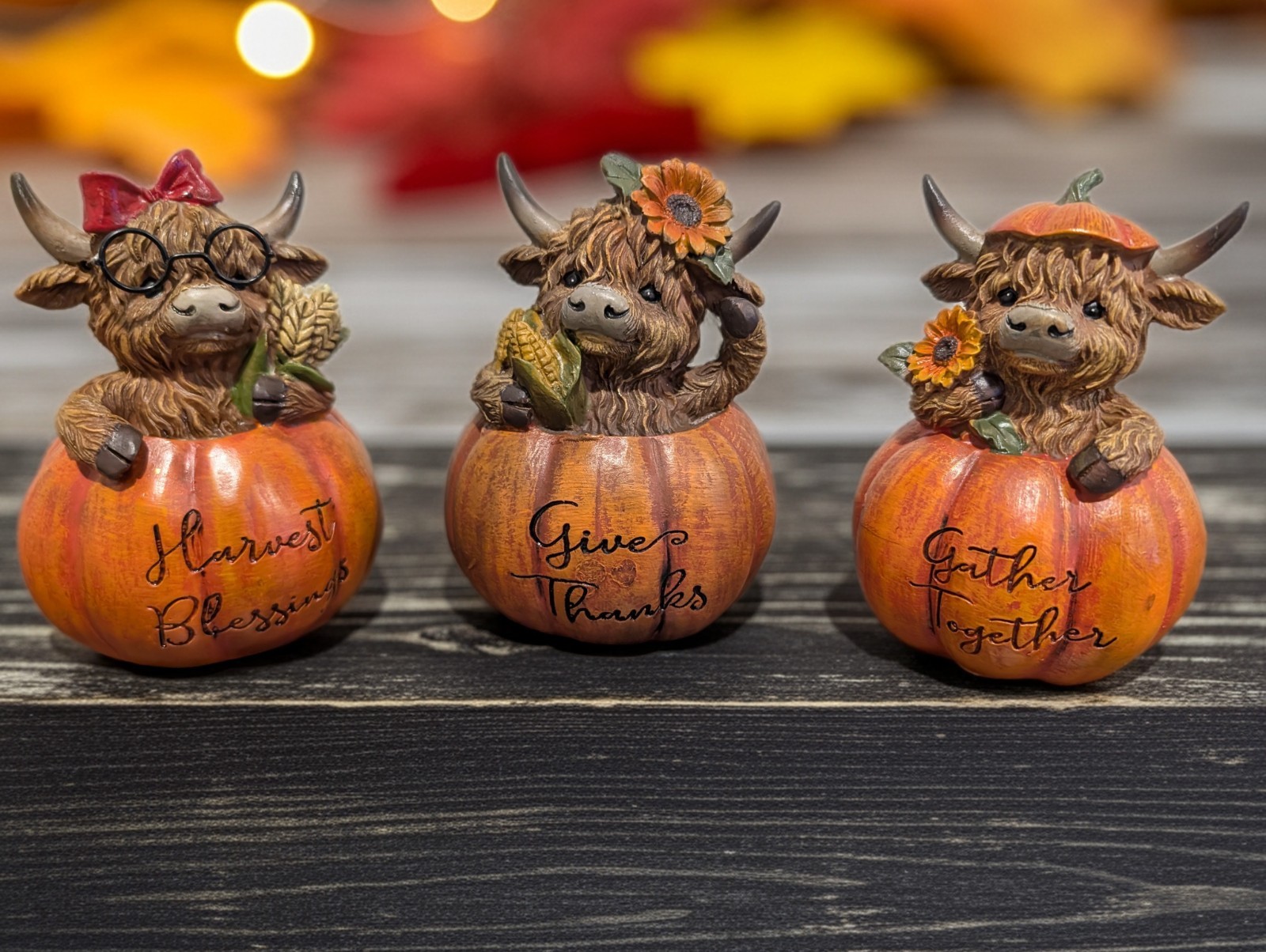 Highland Cow in Pumpkin Trio Tabletop Hannas Handiworks Autumn Fall Thanksgiving Highland Cow in Pumpkin Trio Tabletop Hannas Handiworks Autumn Fall Thanksgiving