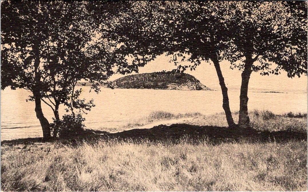 Bald Porcupine, Frenchman\'s Bay, BAR HARBOR, Maine Postcard - H.J Burrowes Co.