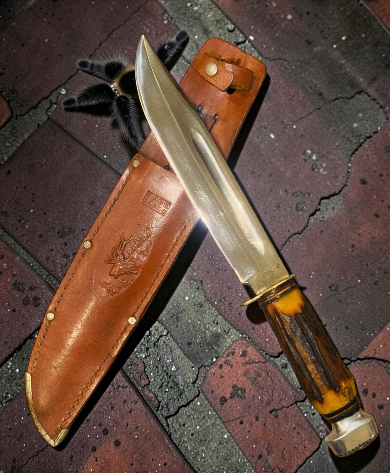 Vintage German Import 8 Inch Blade Knife.  Stag Handle 