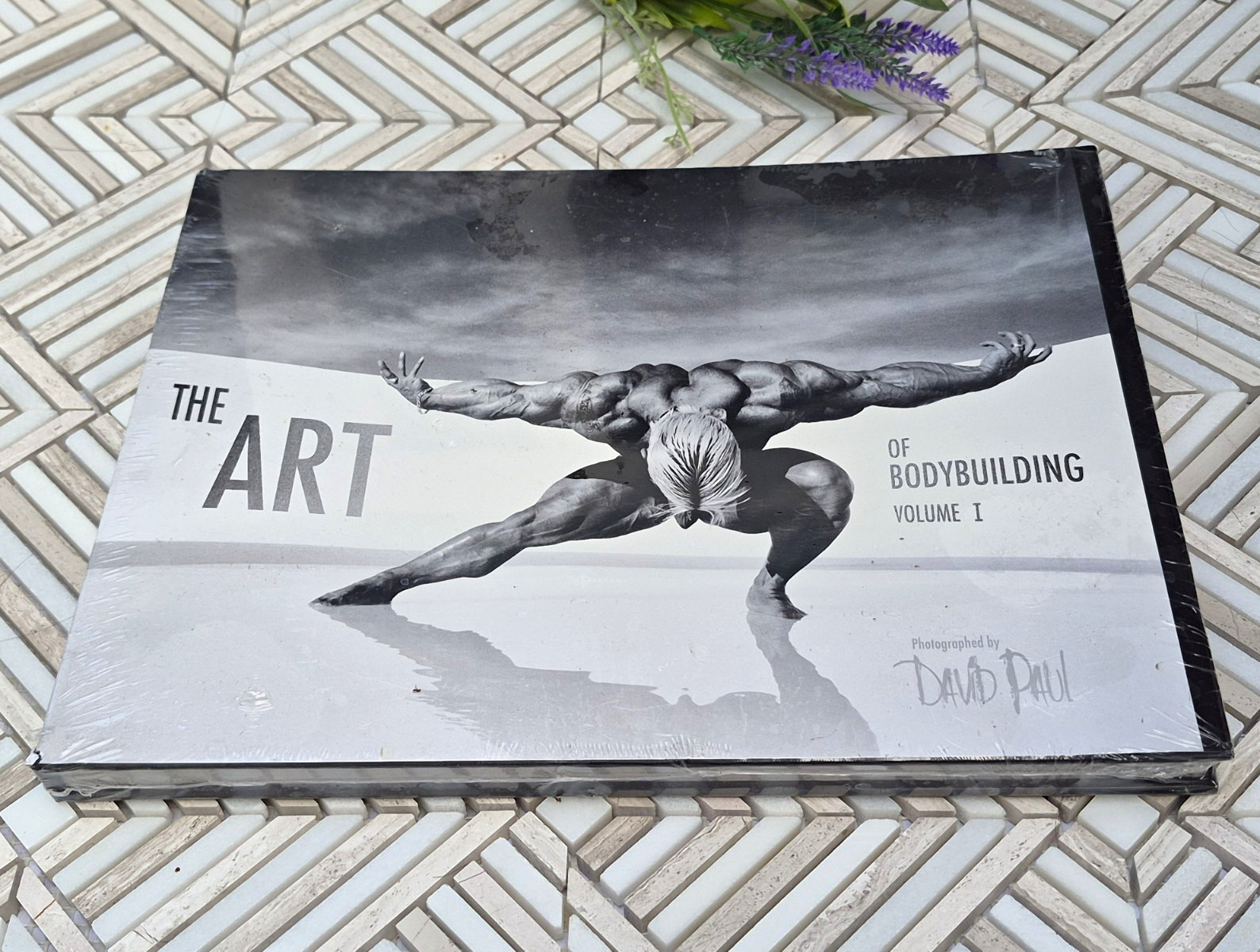 The Art Of Bodybuilding Volume 1 by David Paul Hardcover. Factory Sealed The Art Of Bodybuilding Volume 1 by David Paul Hardcover. Factory Sealed
