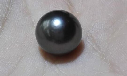 HUGE 13MM NATURAL TAHITIAN GENUINE ROUND BLACK LOOSE PEARL UNDRILLED