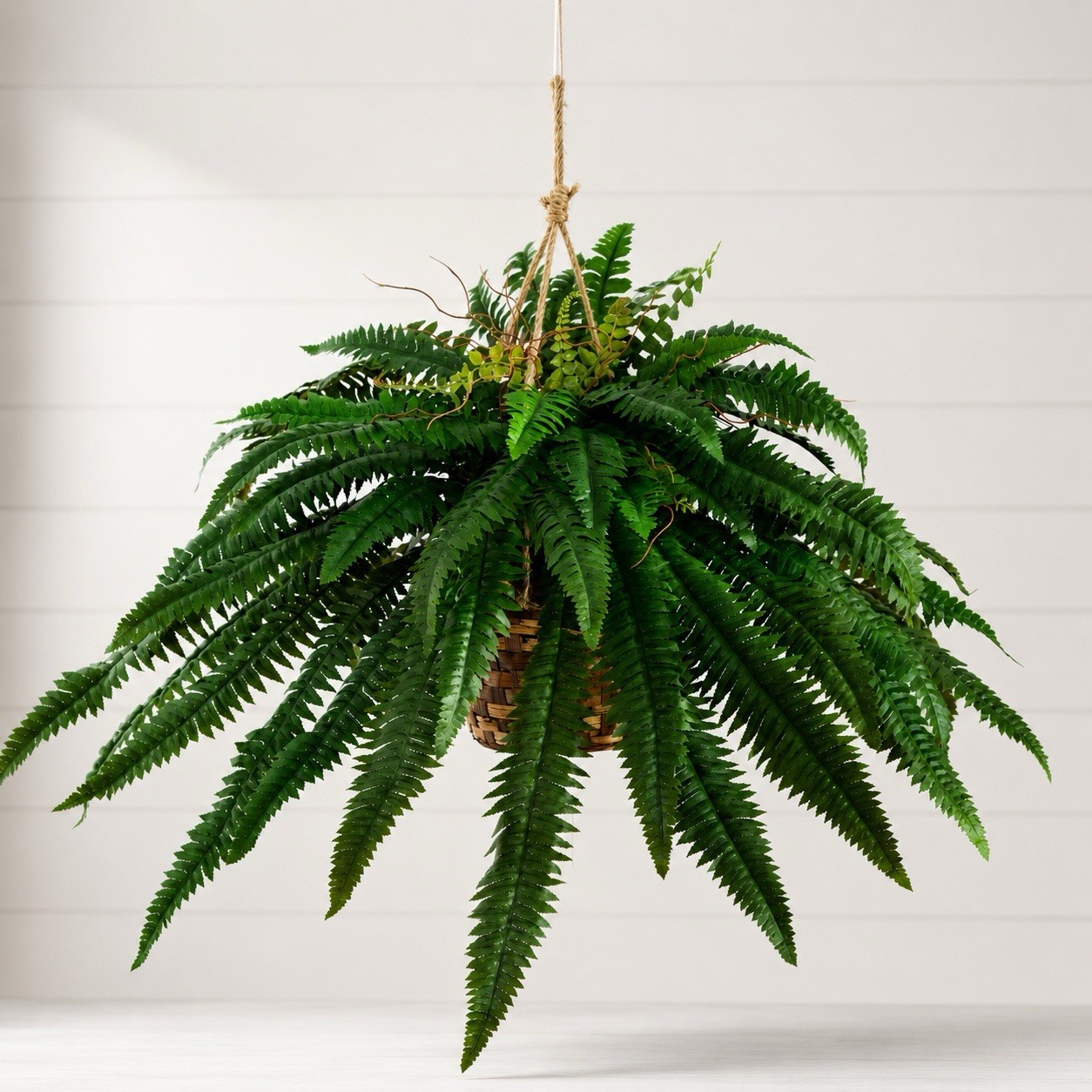 32” Artificial Large Boston Fern Plant In Hanging Basket Home Decor. Retail $99 32” Artificial Large Boston Fern Plant In Hanging Basket Home Decor. Retail $99