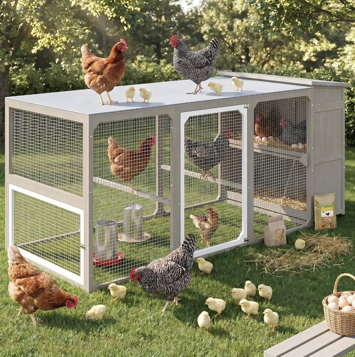 Big Chicken Coop Wooden Chicken House for Backyard Run And Nest Box Big Chicken Coop Wooden Chicken House for Backyard Run And Nest Box