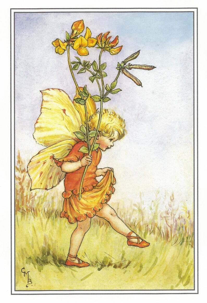 Flower Fairy Postcard: Bird's Foot Trefoil Fairy, Skipping Happily, Lotus family