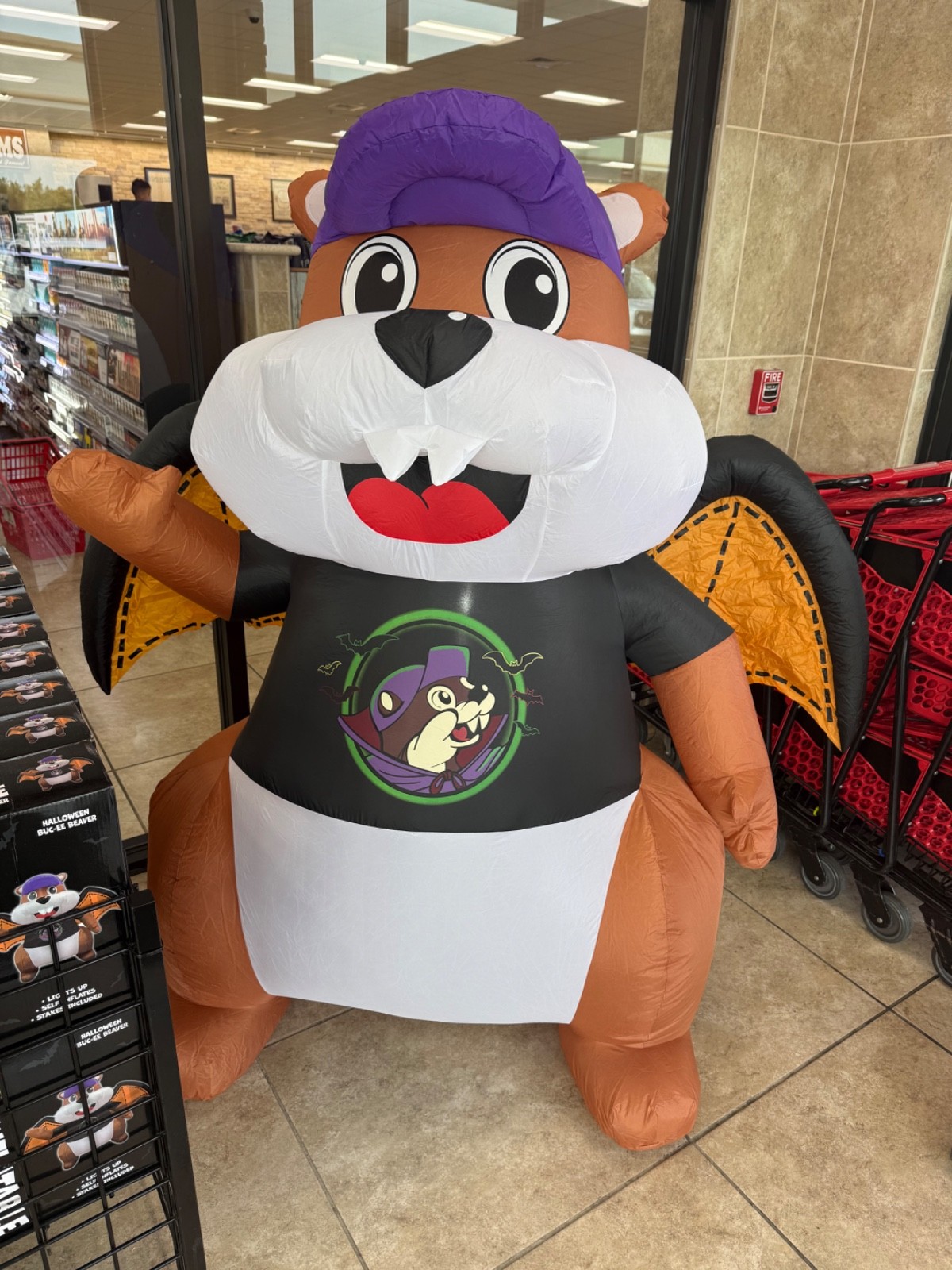 NEW 2026 Buc-ee's Halloween Lights up Inflatable Beaver with Wings
