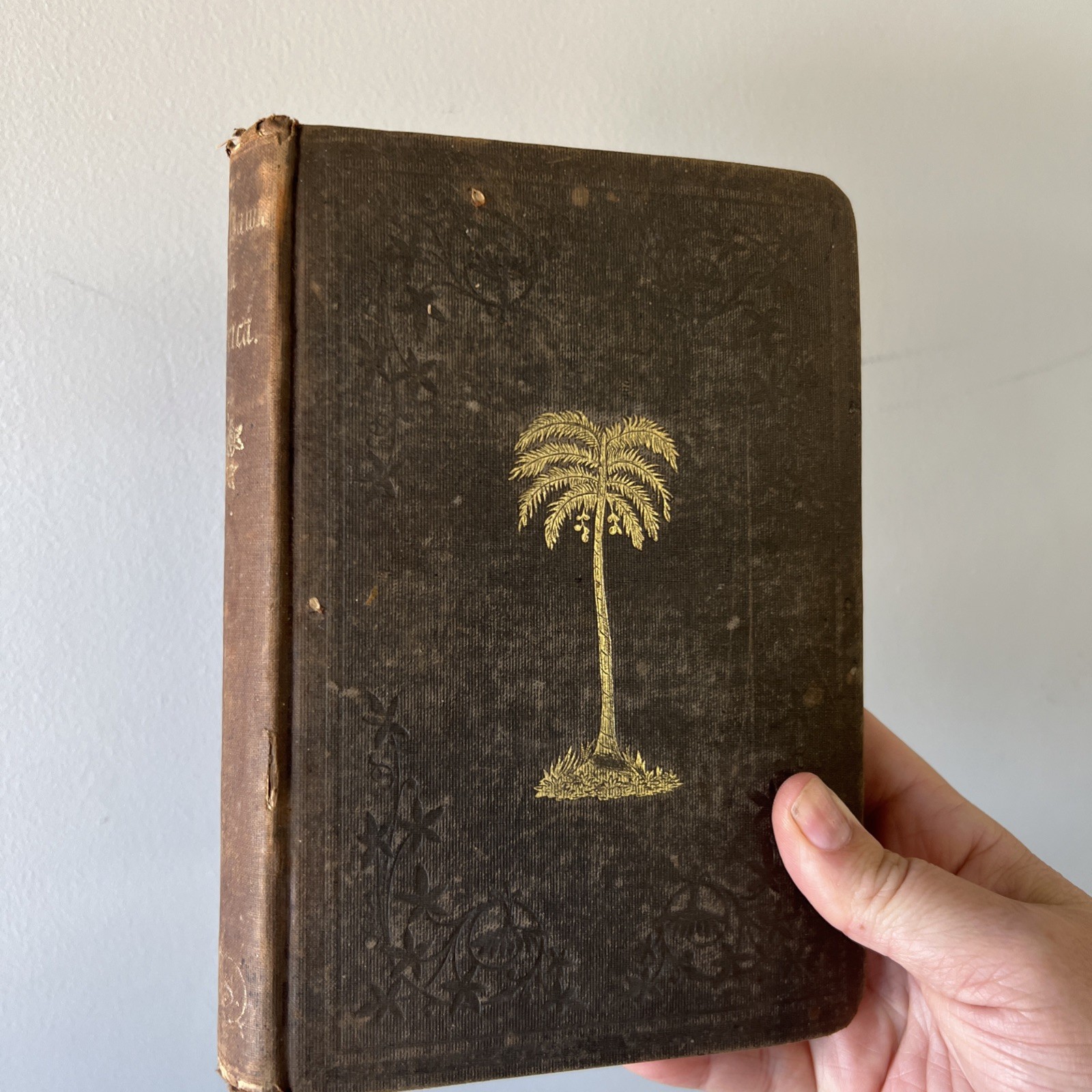 1858 Day Dawn in Africa Anna M Scott Antique Book Foldout Map Illustrated