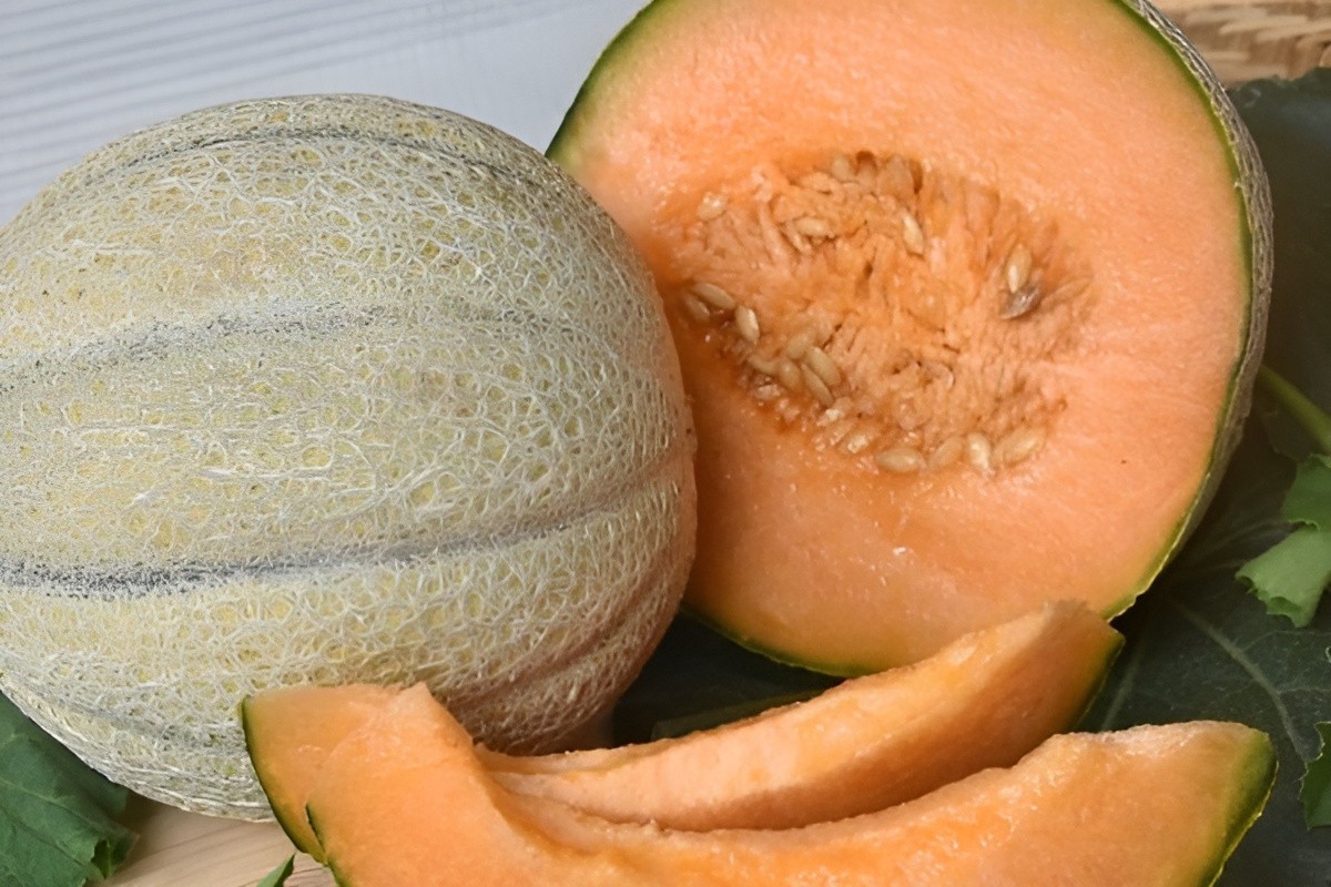 50 Heirloom Jumbo Iroquois Cantaloupe Seeds - Gigantic 7-8LB Super Sweet Melon