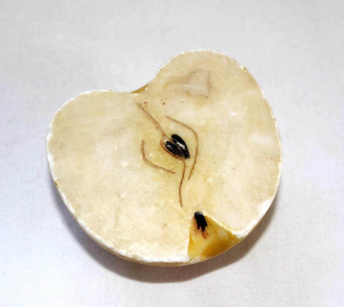 Antique Italian Alabaster Stone Fruit Half Apple Natural Size