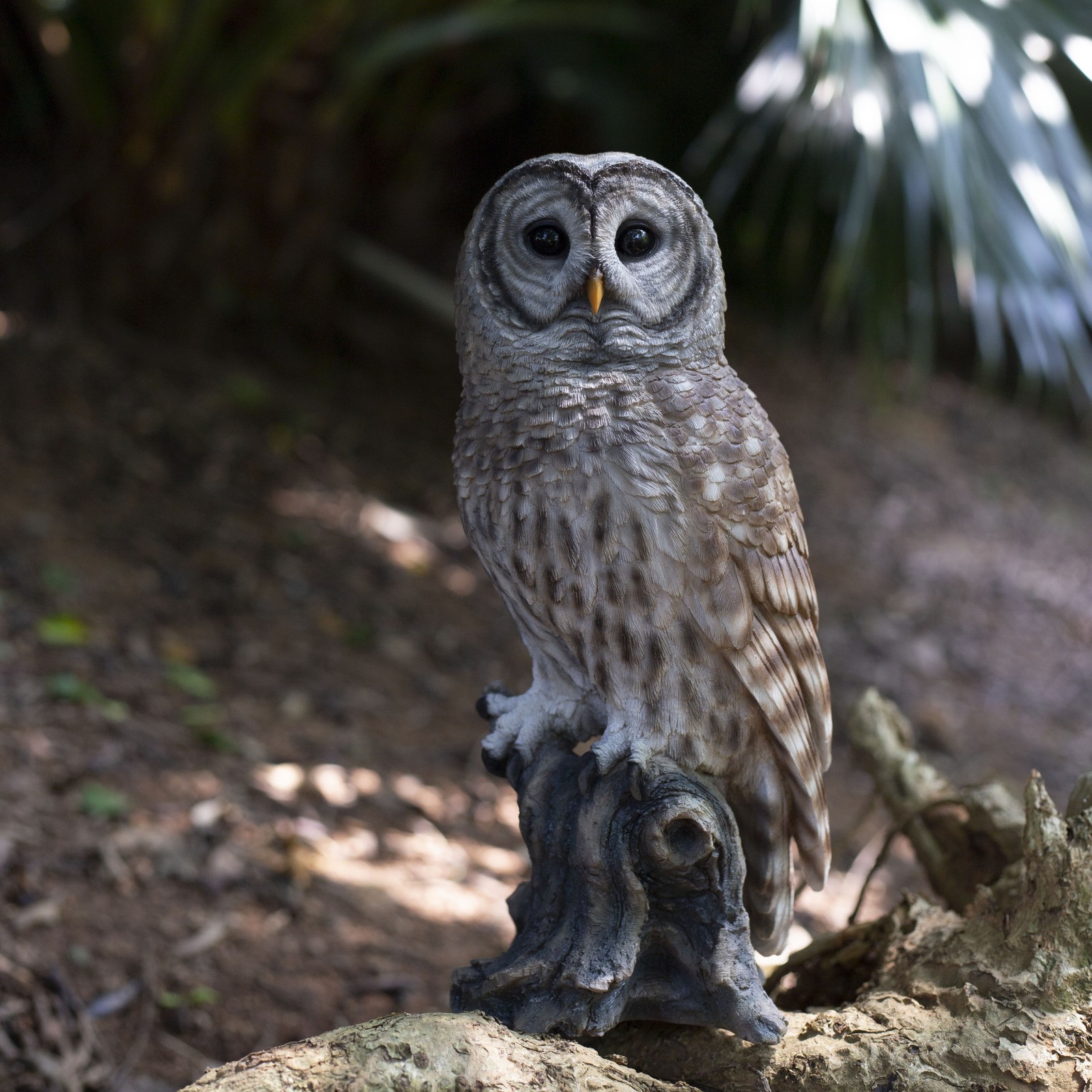 SoReal Brown Barred Owl on branch | Handcrafted Decorative Bird Statue
