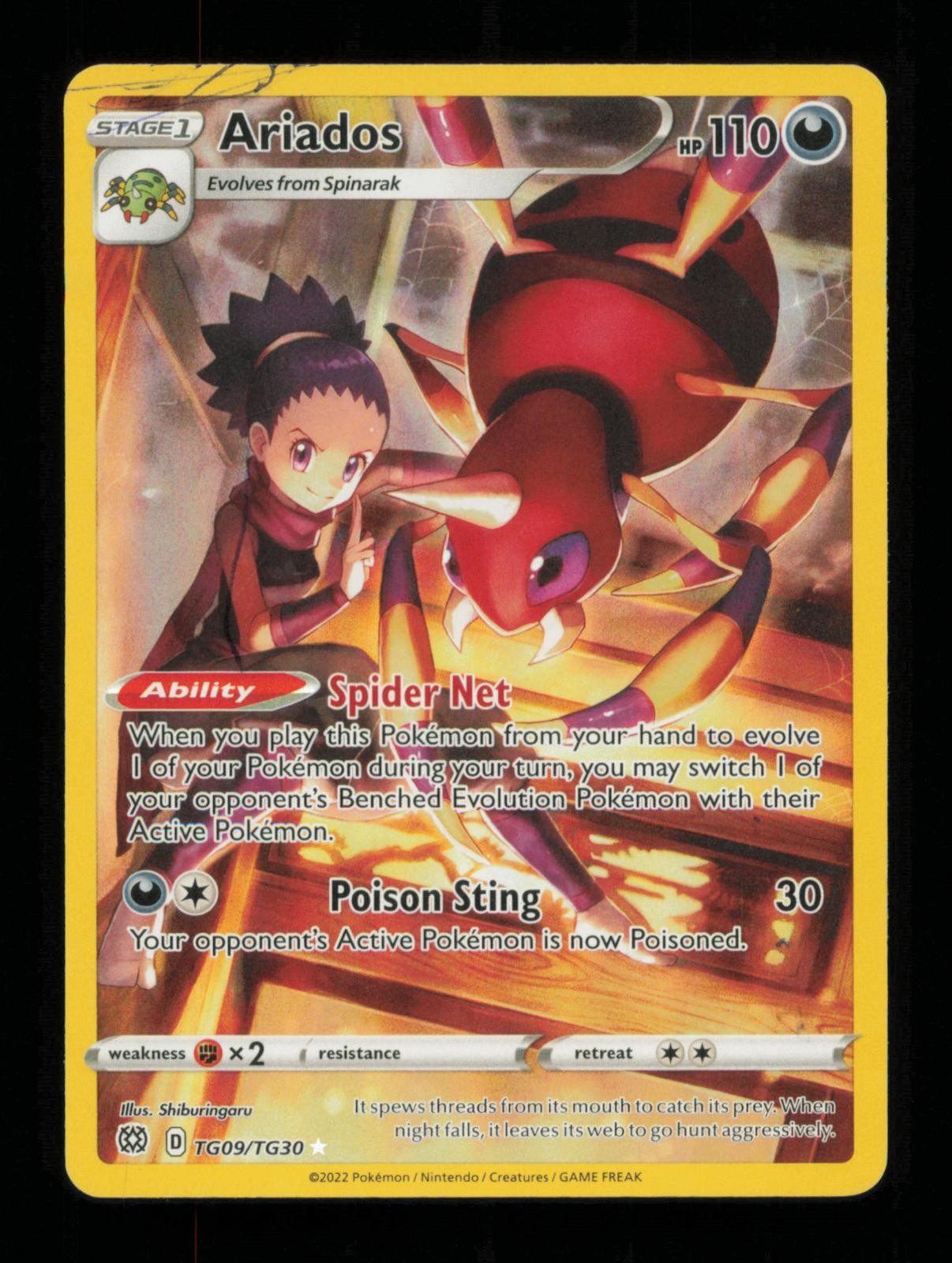 Ariados TG09/TG30 Holo Brilliant Stars Trainer Gallery Pokemon DMG