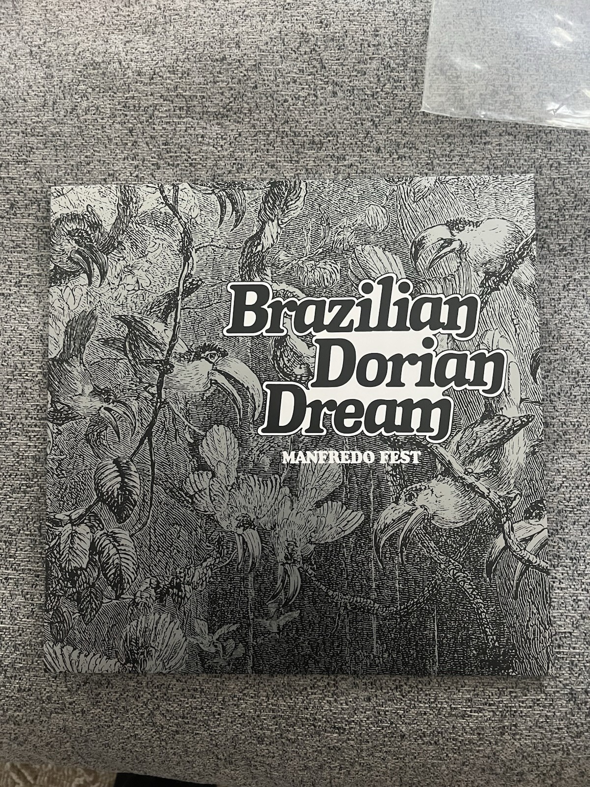 Brazilian Dorian Dream - Manfredo Fest (2020 reissue) Brazilian Dorian Dream - Manfredo Fest (2020 reissue)