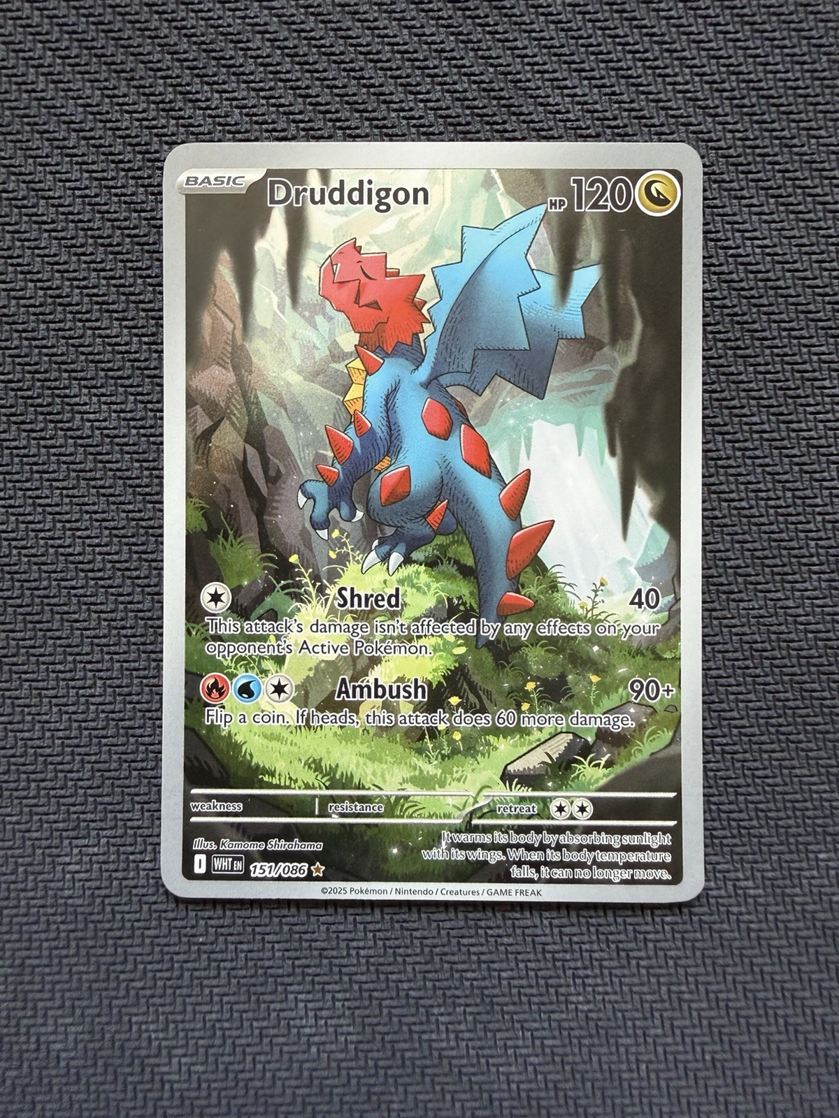 Druddigon 151/086 Illustration Rare White Flare Pokémon TCG