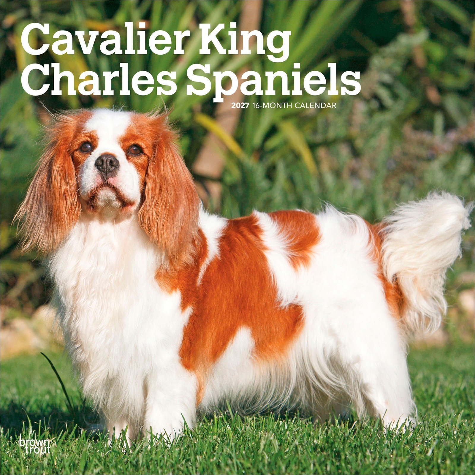 Cavalier King Charles Spaniels | 2027 12x24\