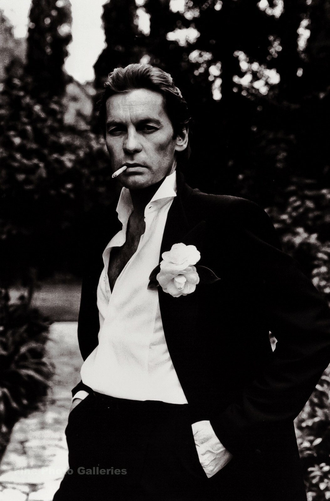 1984 Vintage HELMUT BERGER Austria Movie Actor By HELMUT NEWTON Photo Art 11X14