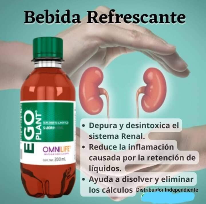 Ego plant cuida tus riñones el original omnilife,pack 20 bottles herbal natural Ego plant cuida tus riñones el original omnilife,pack 20 bottles herbal natural