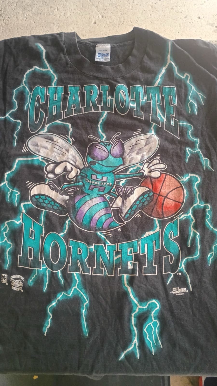 Salem Sportswear Charlotte Hornets Basketball Graphic T-Shirt Size L Black Salem Sportswear Charlotte Hornets Basketball Graphic T-Shirt Size L Black