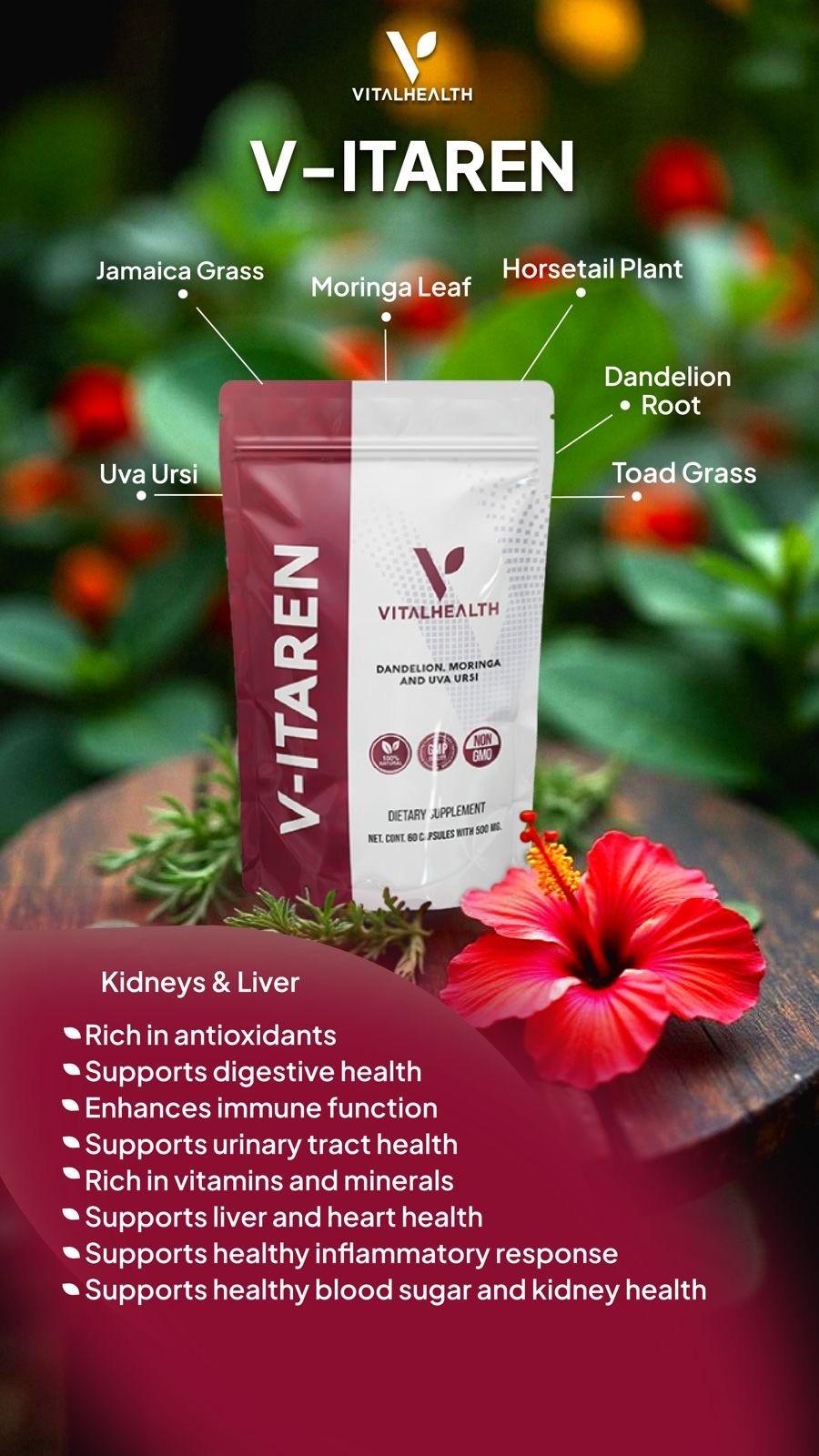 Vital Health V-ITAREN Dandelion, Moringa and Uva Ursi |
