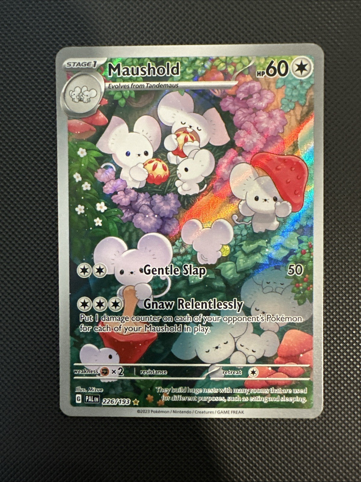 Pokémon TCG Maushold Holo Illustration Rare Card 226/193 Paldea Evolved