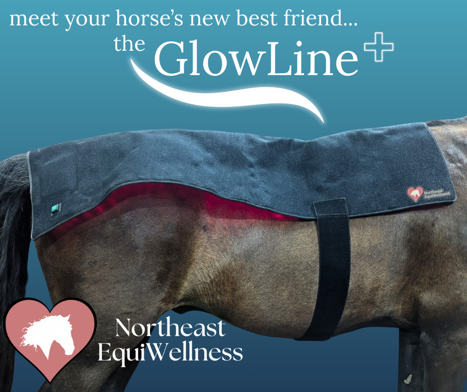 GlowLine+ XL Red Light Therapy Blanket for Horses, 53\