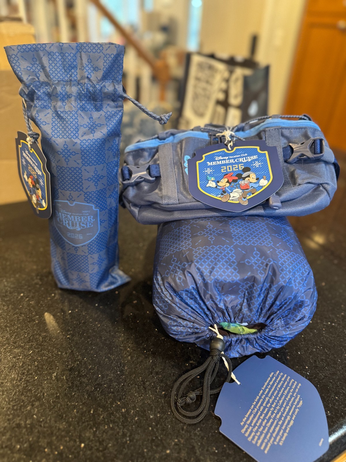 DVC disney vacation club 2026 cruise exlcusive merchandise