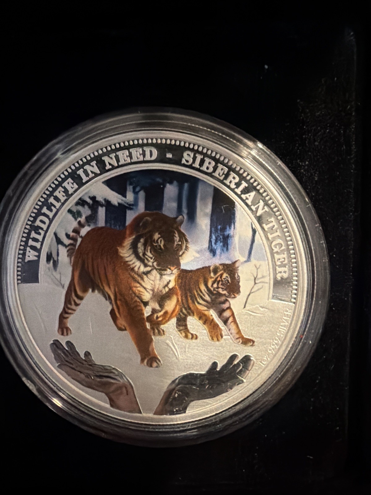 Tuvalu 2012 Wildlife in Need Siberian Tiger Proof Silver 1oz Coin