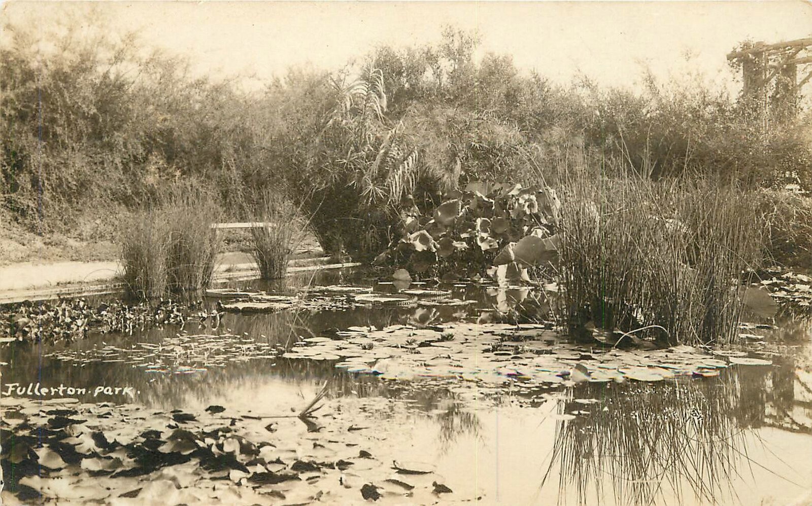 Postcard RPPC California Fullerton 1920s 23-4461