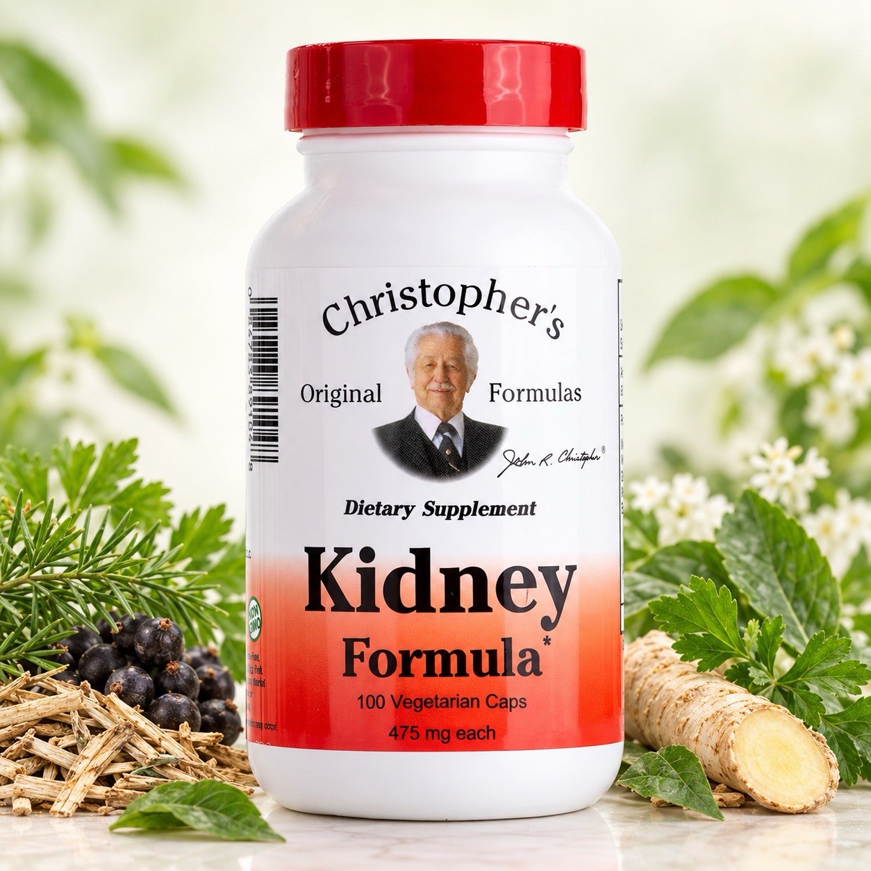 Christopher’s Original Formulas Kidney Formula 475 mg 100 Vegetarian Capsules