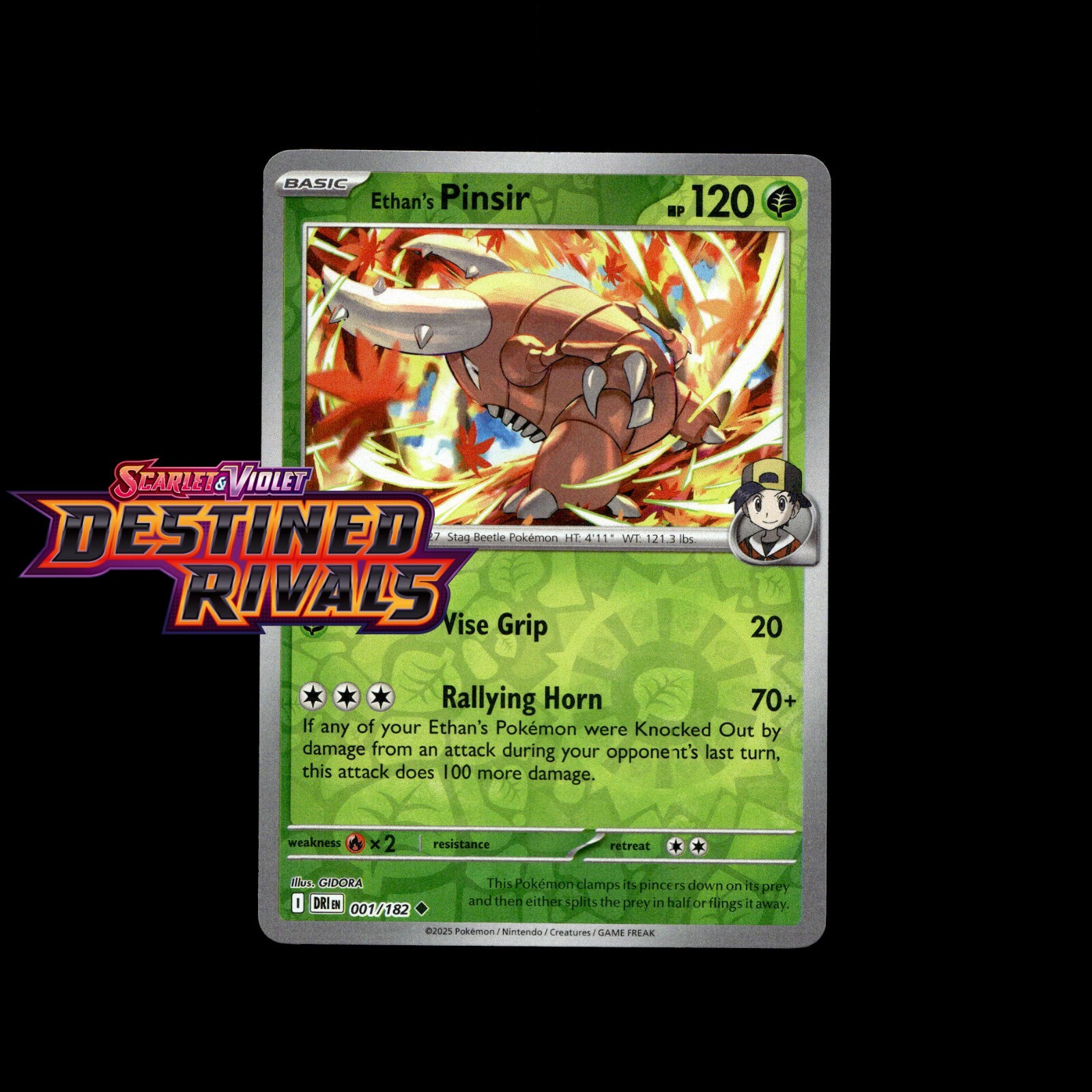 Pokemon Cards Destined Rivals Holo/Reverse Holo EX Ultra Rare SIR Full Art Card
