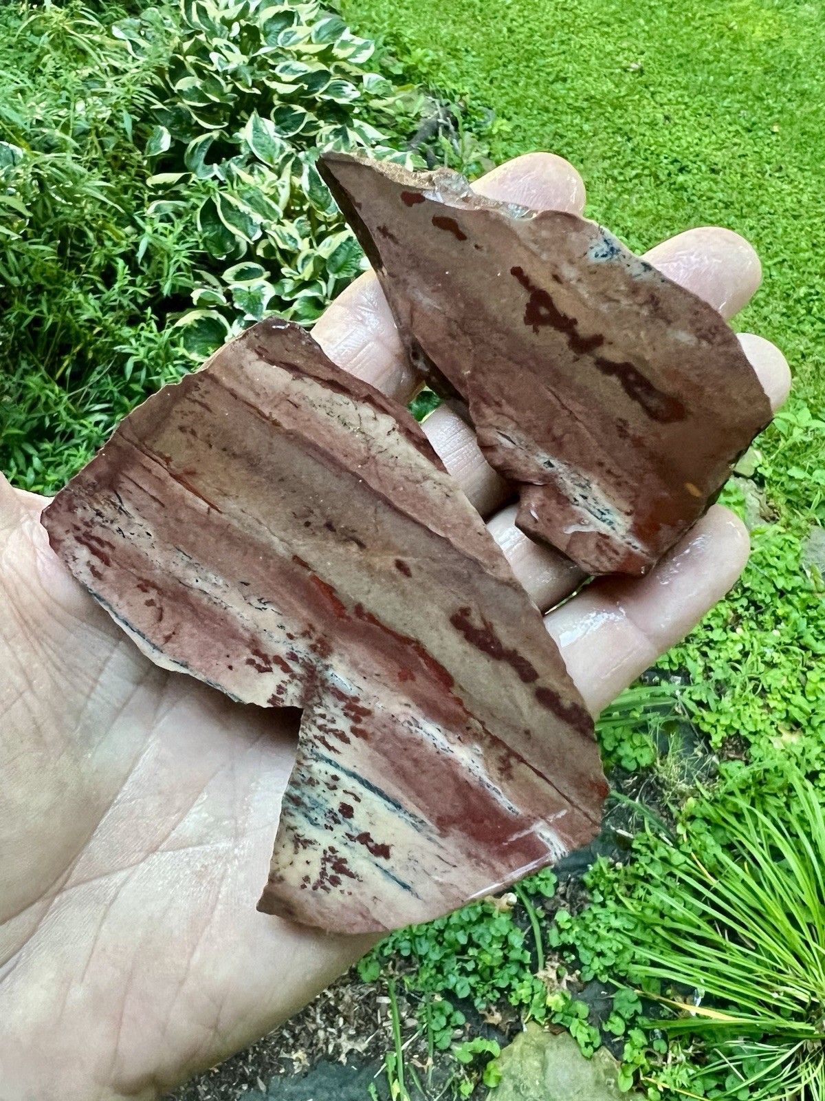 (2) Beautiful Apache Sage Jasper slabs, 138 Gr.  # 119