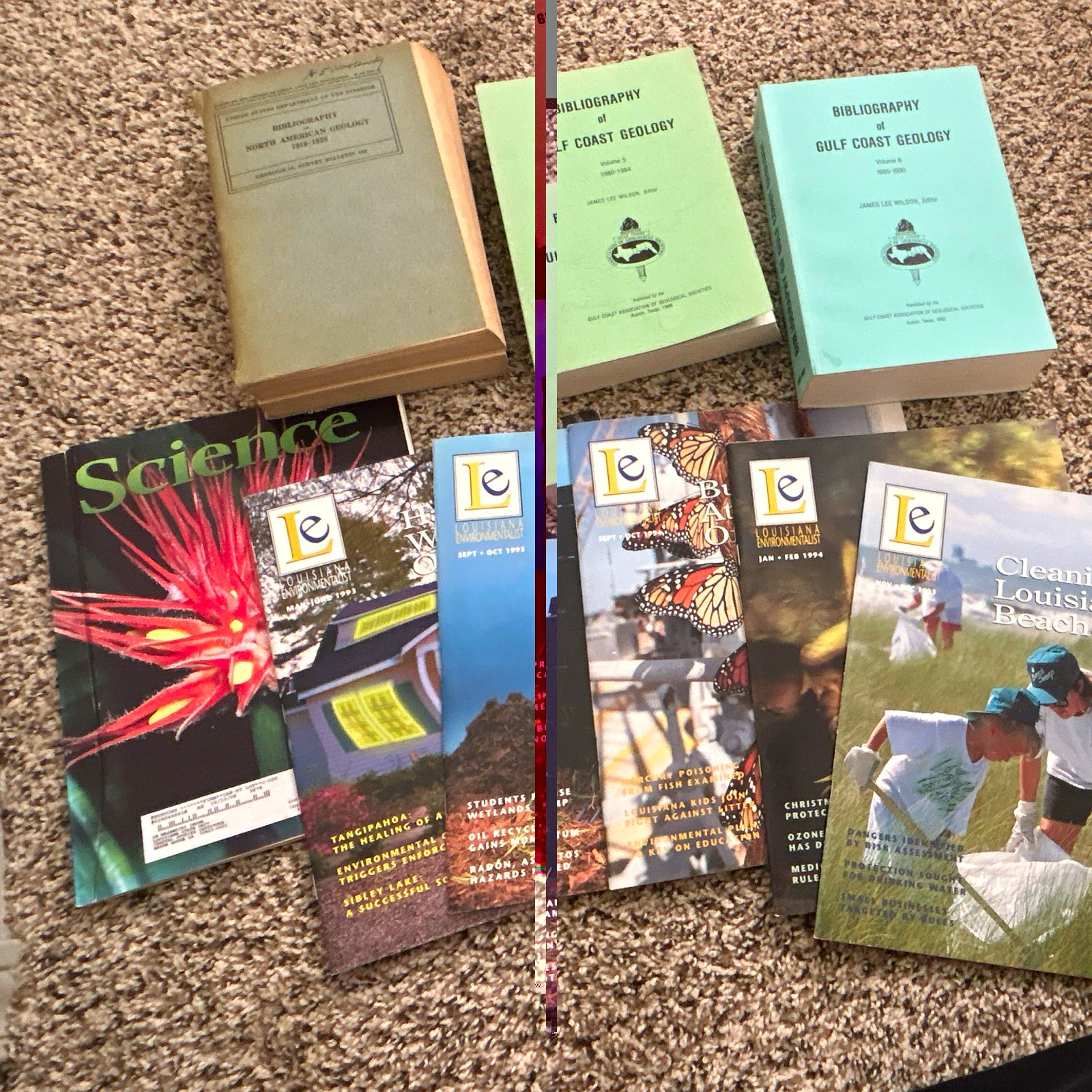 Bibliography of Gulf Coast Geology by James Lee Wilson PB 1970 Gulf Coast Assoc