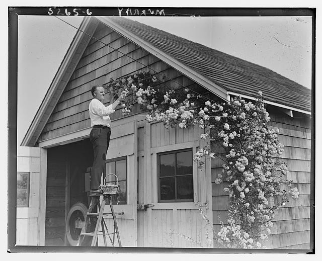 Yankton South Dakota Billy Murray 1910s Singer on Ladder with Flowers
