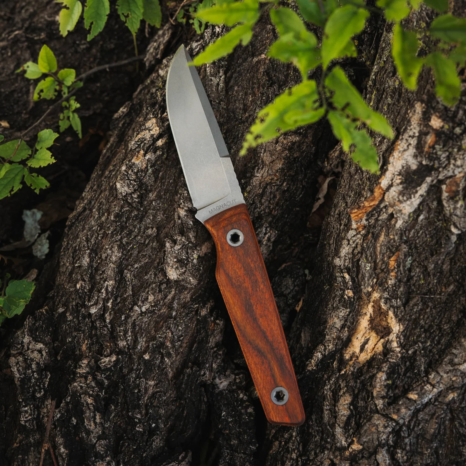 Big Idea Design USA Signal Fixed Knife 3.25