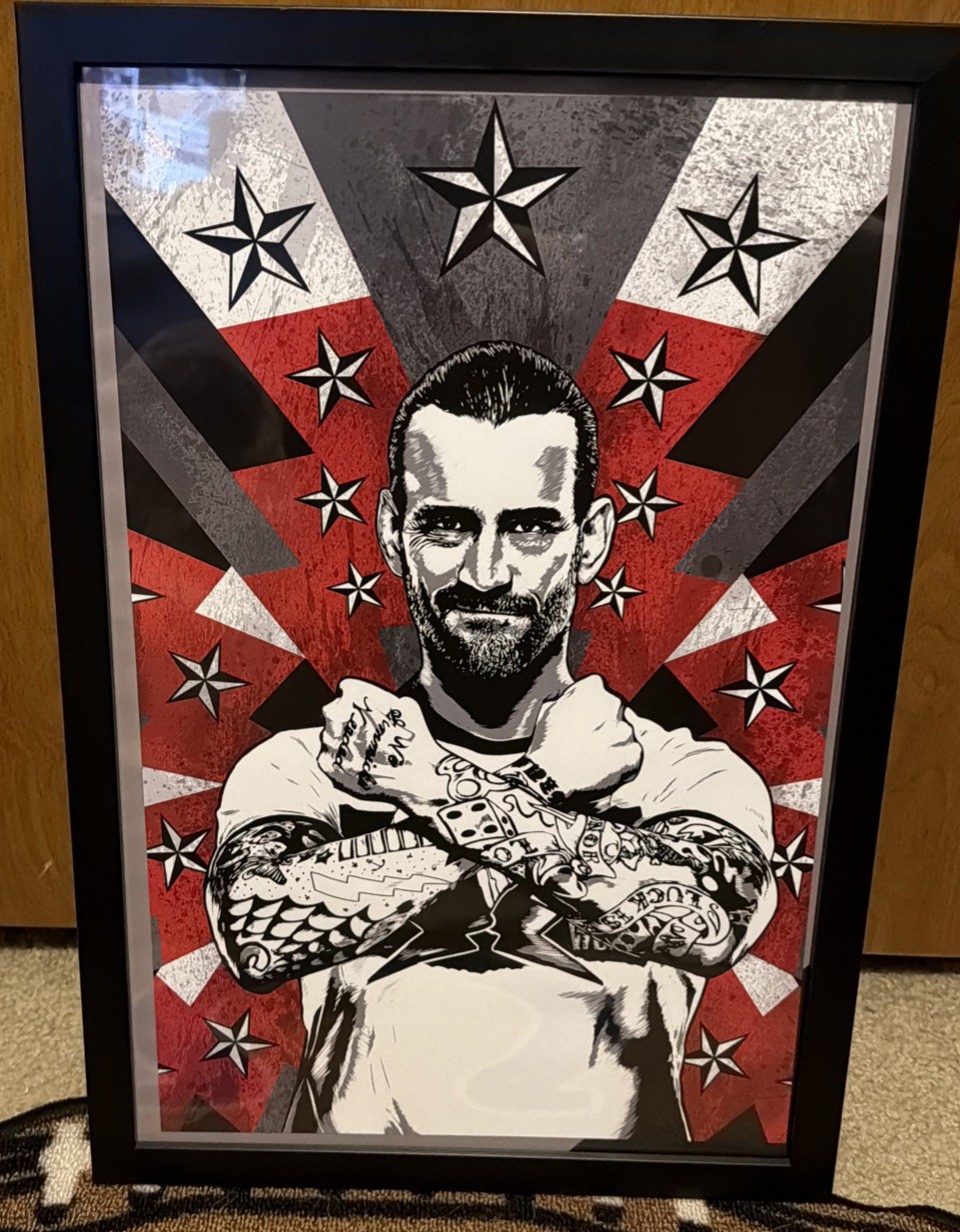 Cm Punk WWE AEW Art Piece Framed Signed by The Artist Read Description No COA