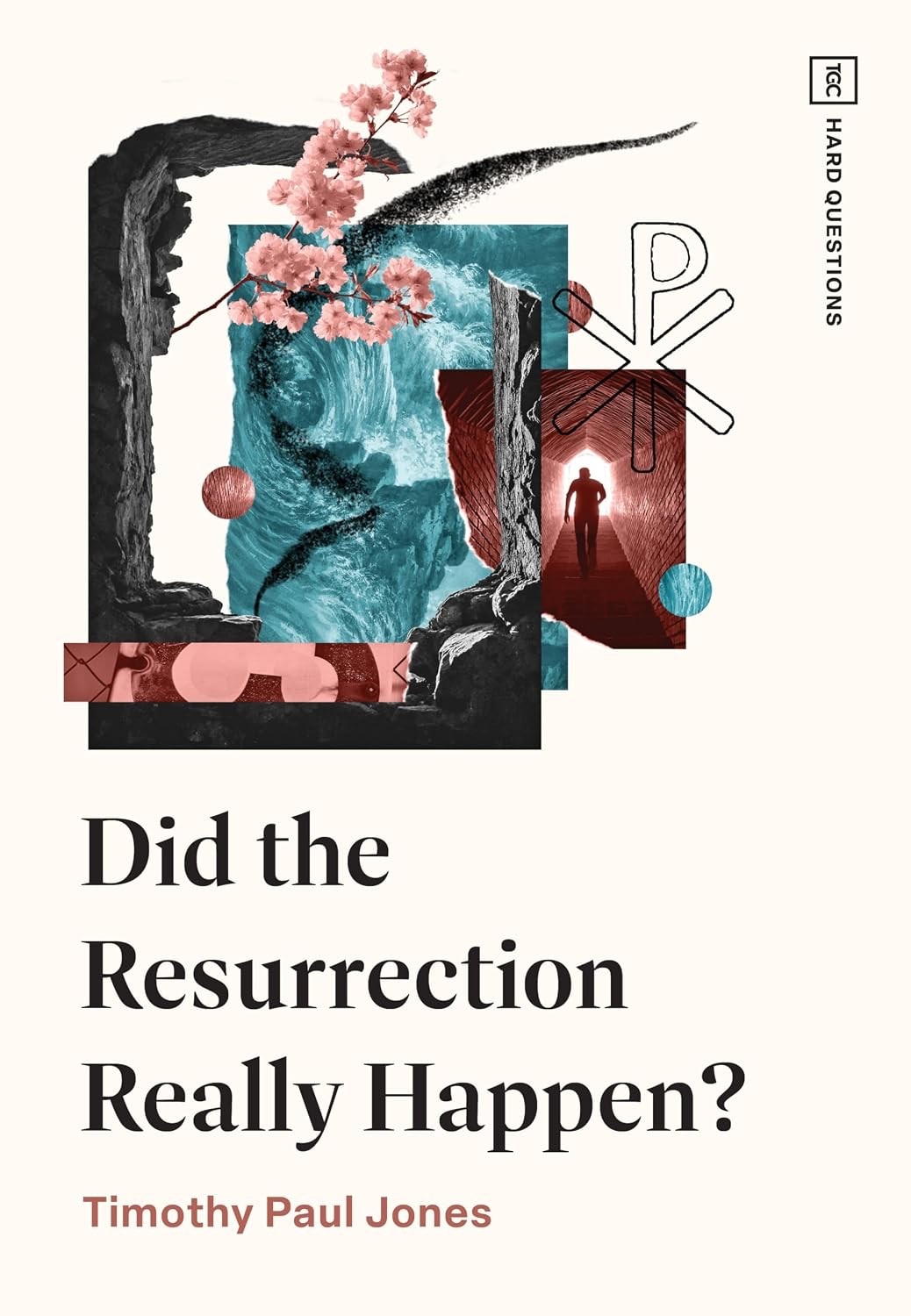 Did the Resurrection Really Happen? by Timothy Paul Jones BRAND NEW