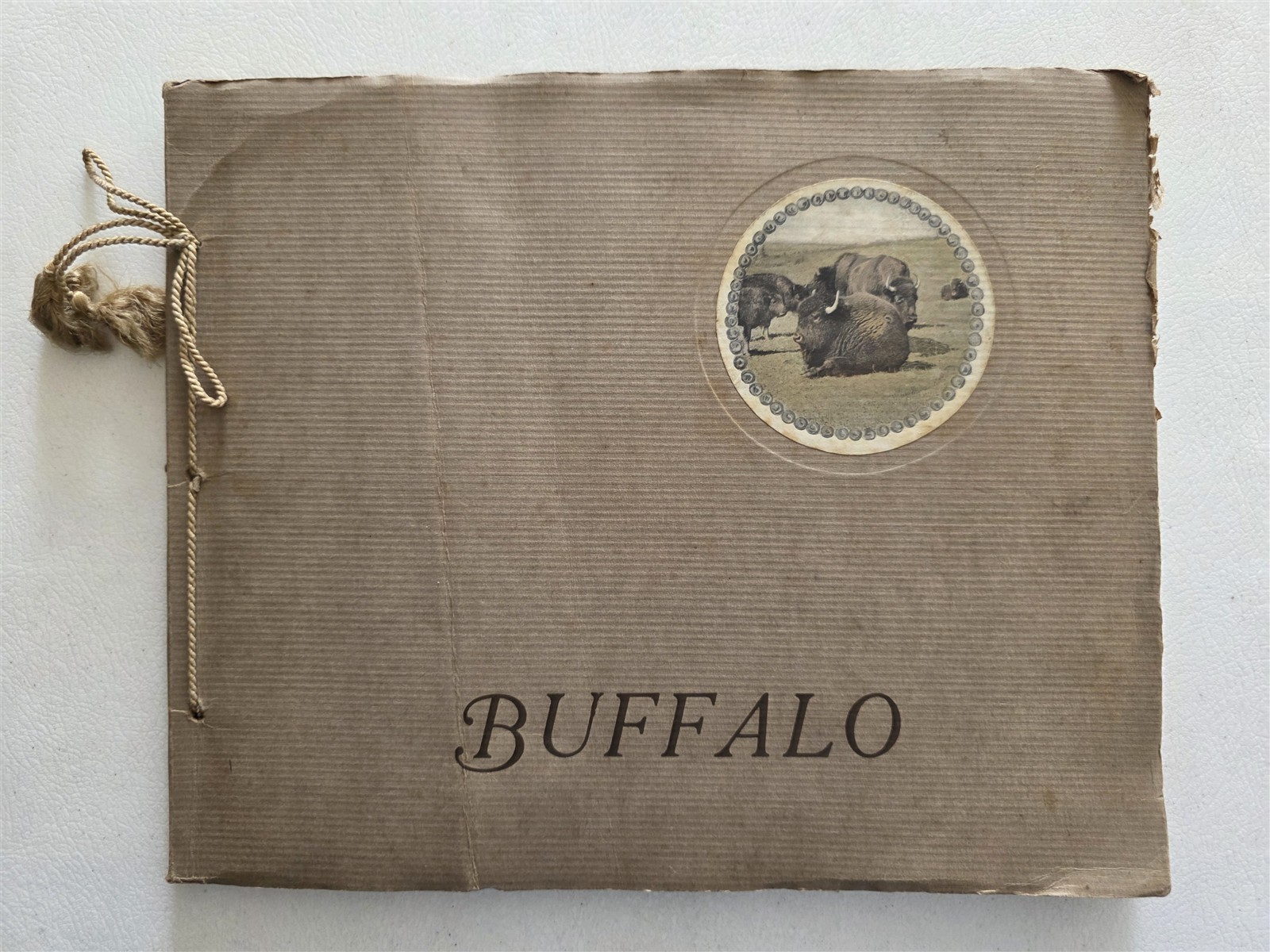 Buffalo New York Antique Book Portfolio of Photographs c 1925, Photogravures