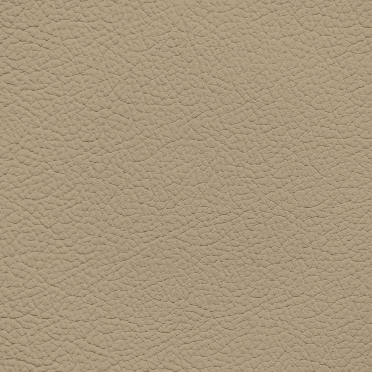 Ford/Lincoln/Mercury Medium Camel Leather Dye