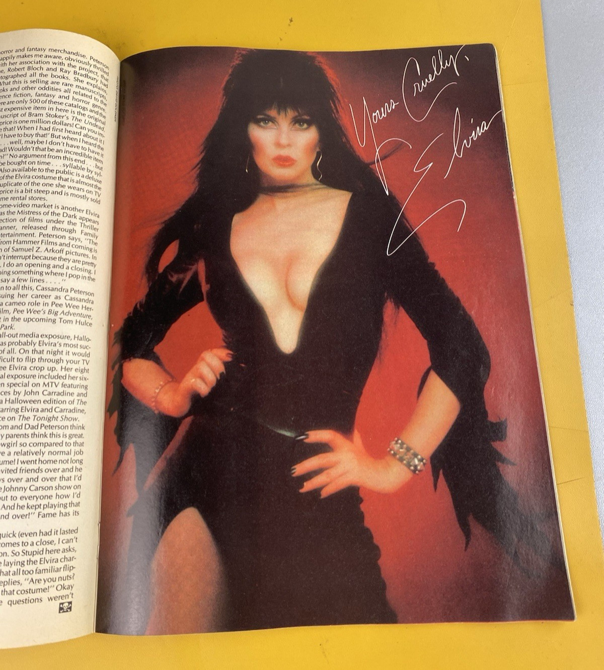 1985 Fangoria Magazine #45 EL Vira Nightmare on Elm Street Fright Night 1985 Fangoria Magazine #45 EL Vira Nightmare on Elm Street Fright Night