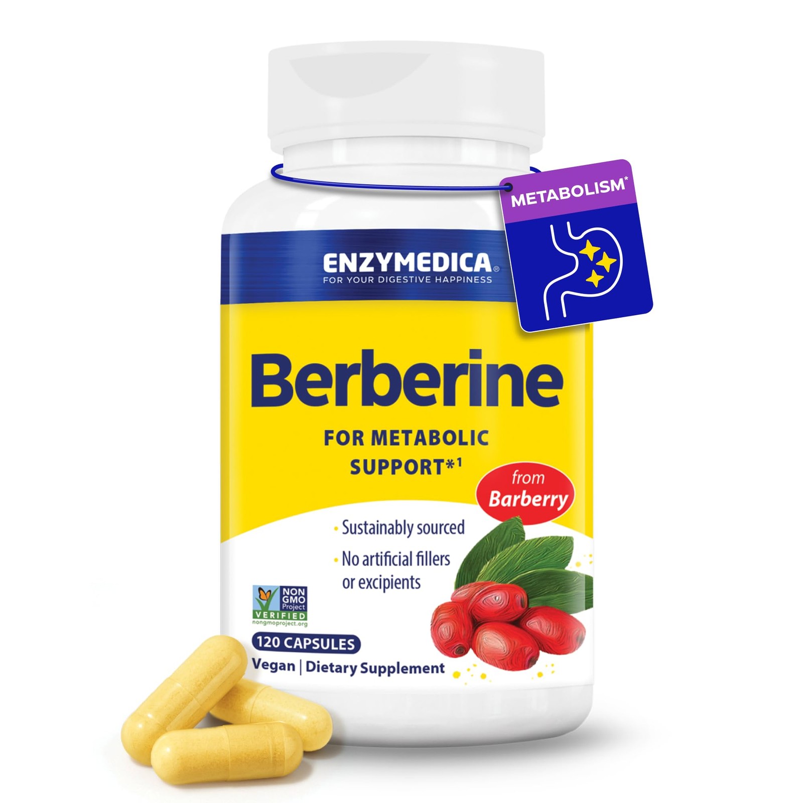 Enzymedica Berberine HCl Supplement 510 mg  120 Targeted Release Caps