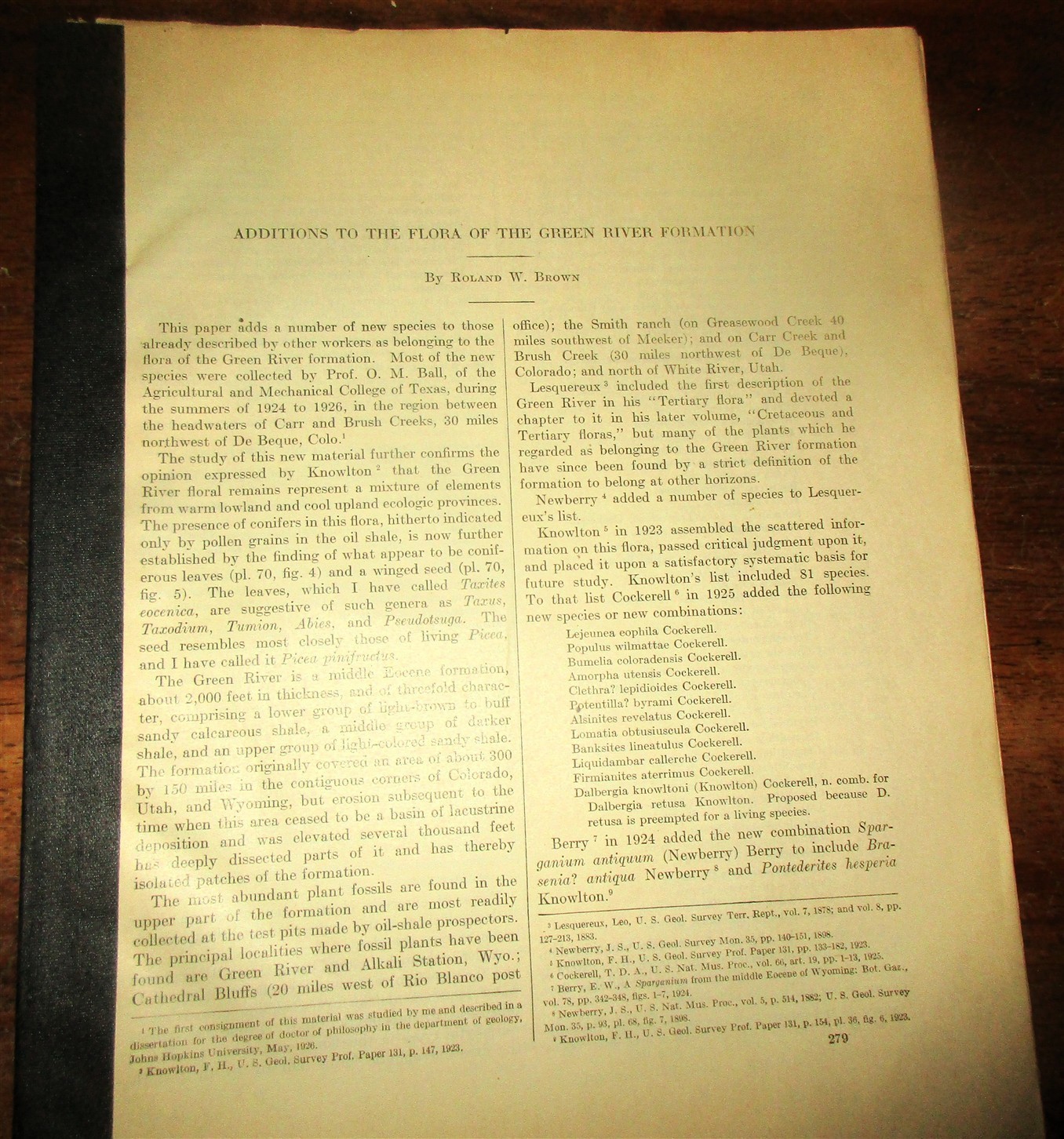 GEOLOGY PALEONTOLOGY WYOMING UTAH GREEN RIVER FORMATION FOSSIL PLANTS FLORA 1929