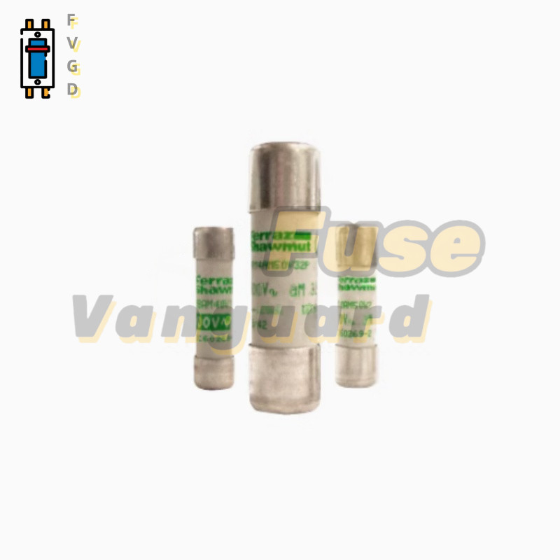 10PCS New Ferraz Shawmut FR10AM69V6 690V 6A Fuse
