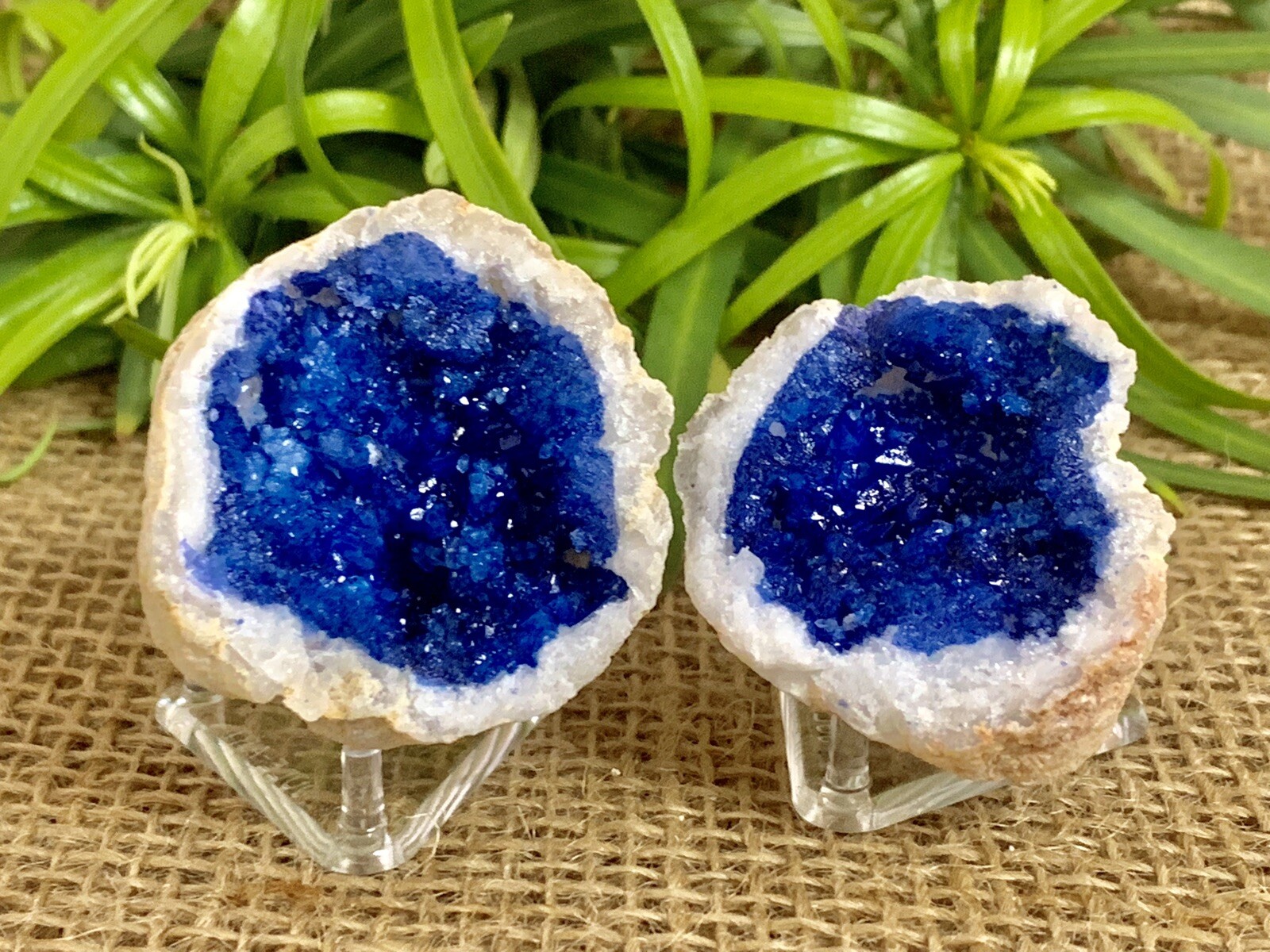 Blue Geode Pair Crystal Quartz Gemstone Specimen Dyed Morocco Geode Crystal