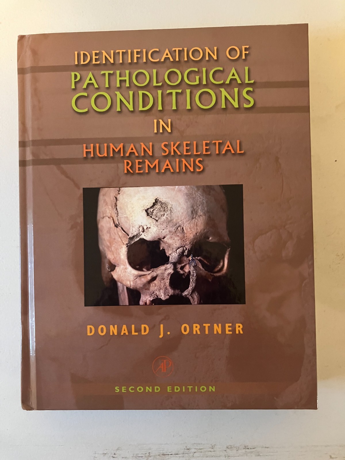 Identification of Pathological Conditions in Human Skeletal Remains