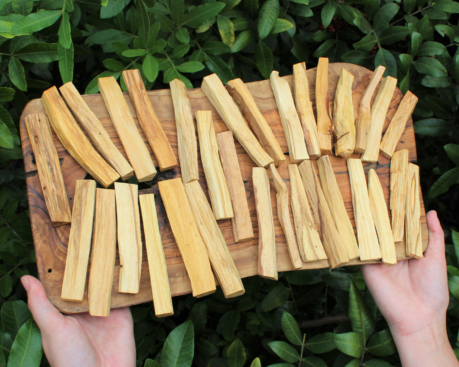 Palo Santo Wood Sticks: CHOOSE AMOUNT oz or lb Bulk Wholesale Price (Smudging)
