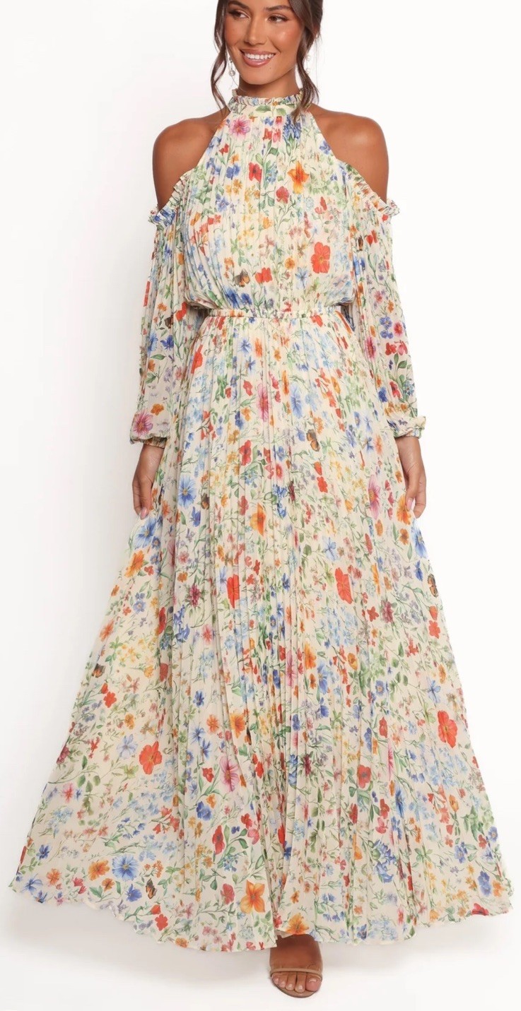 Petal And Pup Hillary Pleate Maxi Dress Colorful Garde Floral Elegant Dress SzM Petal And Pup Hillary Pleate Maxi Dress Colorful Garde Floral Elegant Dress SzM
