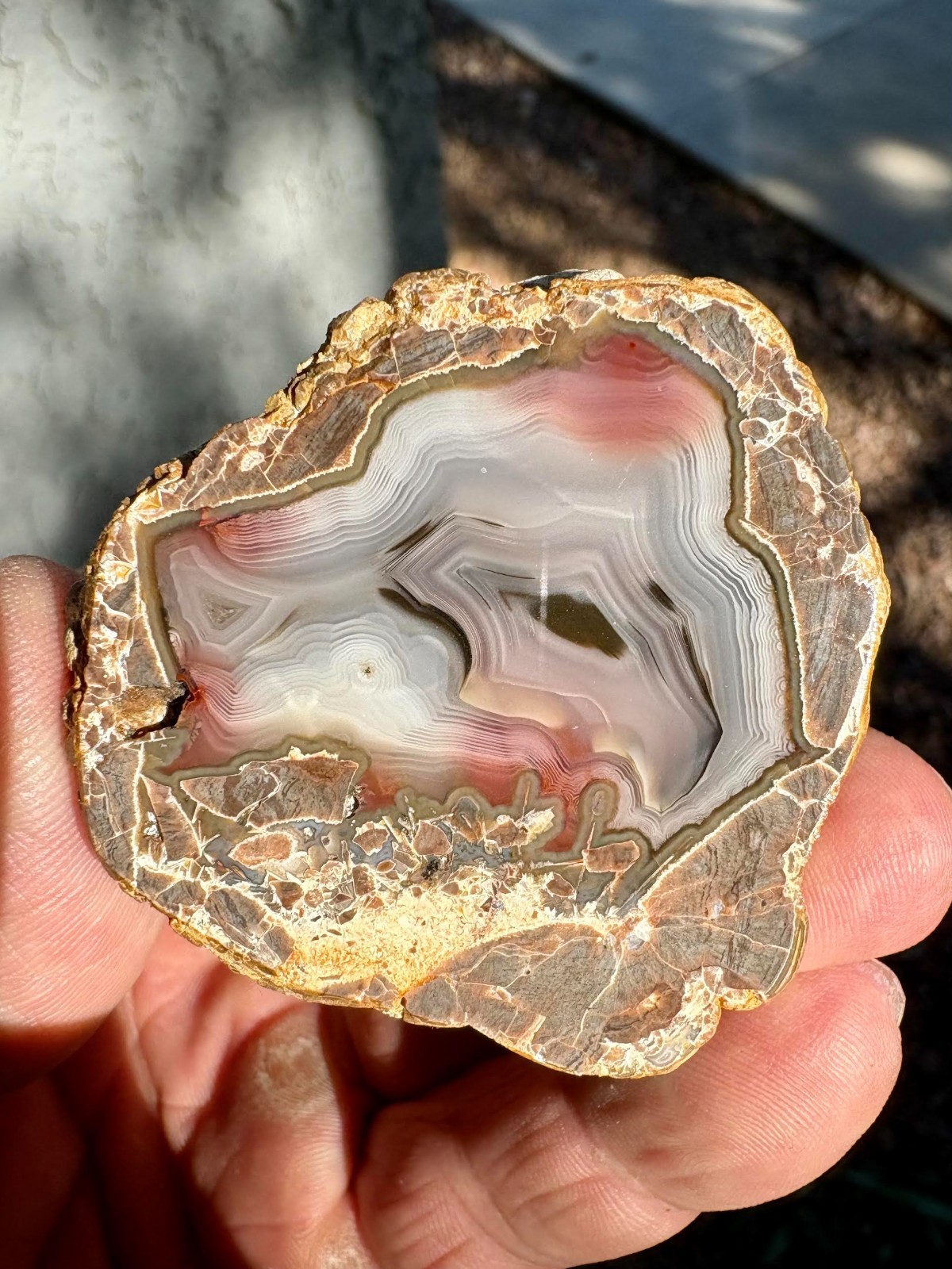 Baker Ranch Thunderegg Agate Half Nodule - Polished - New Mexico