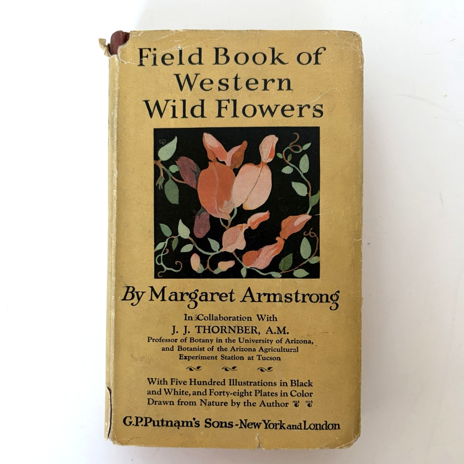 1915 1st Ed FIELD BOOK of WESTERN WILD FLOWERS Margaret Armstrong w DustJacket 1915 1st Ed FIELD BOOK of WESTERN WILD FLOWERS Margaret Armstrong w DustJacket