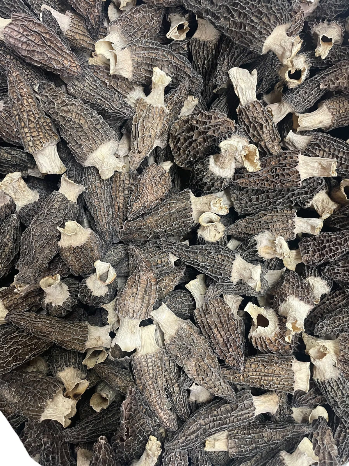 WILD Morel Mushrooms, Whole (Dried) - 4oz WILD Morel Mushrooms, Whole (Dried) - 4oz