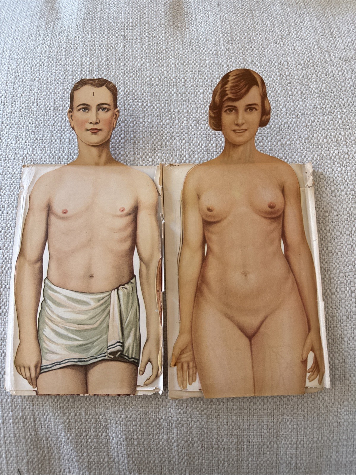 Vintage Human Anatomy Pamphlets Male Female Medical Teaching Aids Set 1940-1950